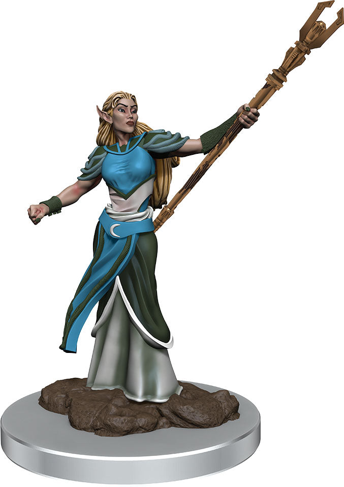 Dungeons & Dragons: Painted Miniatures - Elf Sorcerer Female (W7)