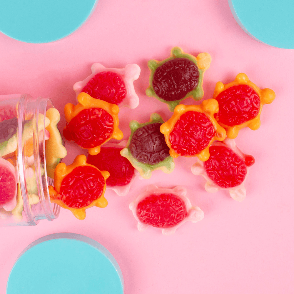 Gourmet Candy - Jellyshell Sea Turtles