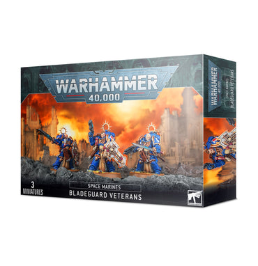 Space Marines: Bladeguard Veterans