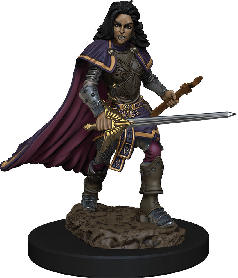 Pathfinder: Painted Miniatures - Human Bard Female (W2)