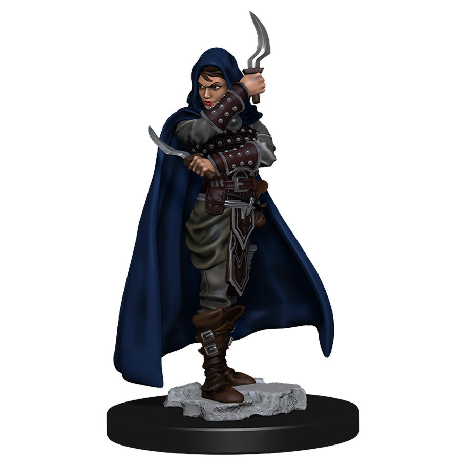 Pathfinder: Painted Miniatures - Human Rogue Female (W1)