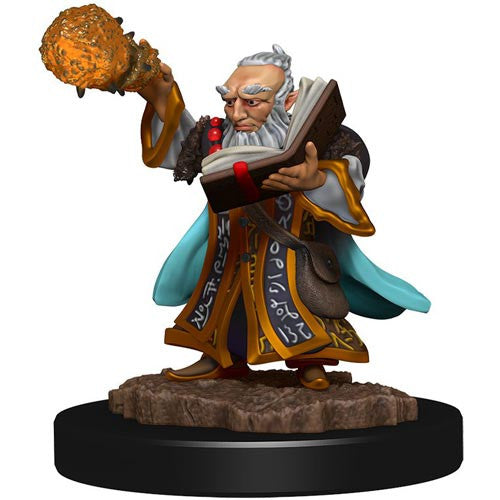 Dungeons & Dragons: Painted Miniatures - Gnome Wizard Male