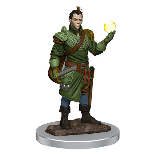 Dungeons & Dragons: Painted Miniatures - Half-Elf Bard Male (W7)